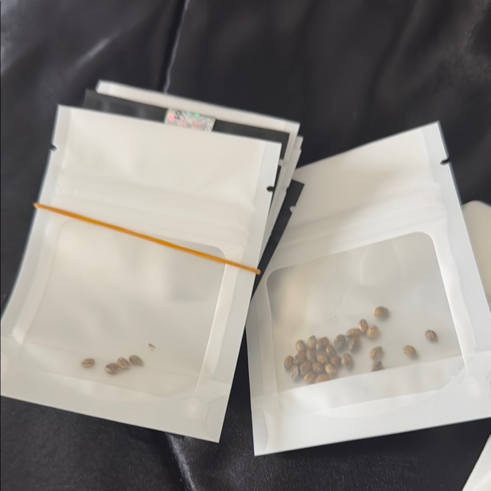 Seed Pack 2